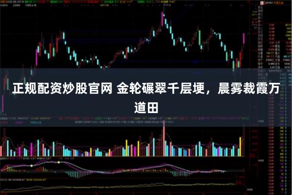 正规配资炒股官网 金轮碾翠千层埂，晨雾裁霞万道田