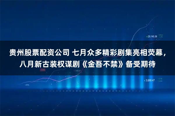 贵州股票配资公司 七月众多精彩剧集亮相荧幕，八月新古装权谋剧《金吾不禁》备受期待