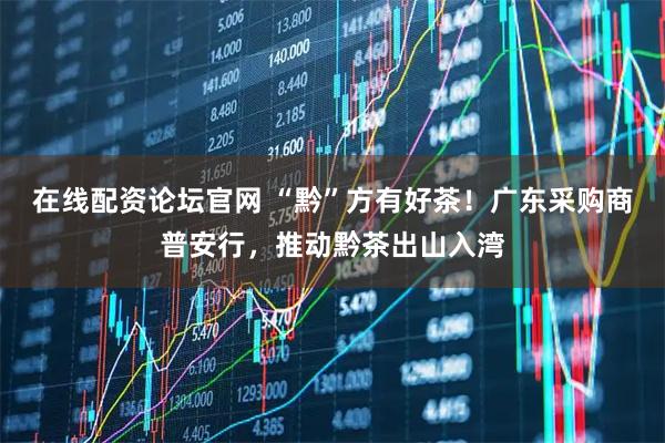 在线配资论坛官网 “黔”方有好茶！广东采购商普安行，推动黔茶出山入湾
